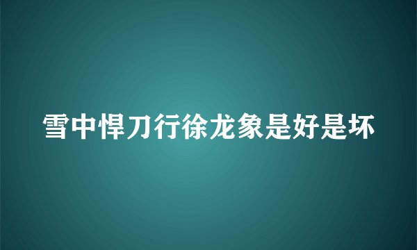雪中悍刀行徐龙象是好是坏