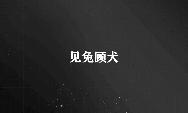 见兔顾犬