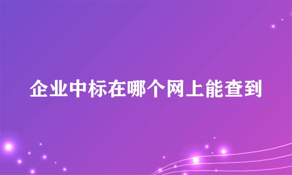 企业中标在哪个网上能查到