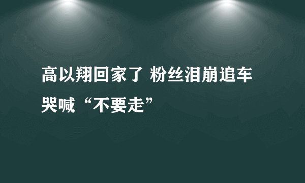 高以翔回家了 粉丝泪崩追车哭喊“不要走”