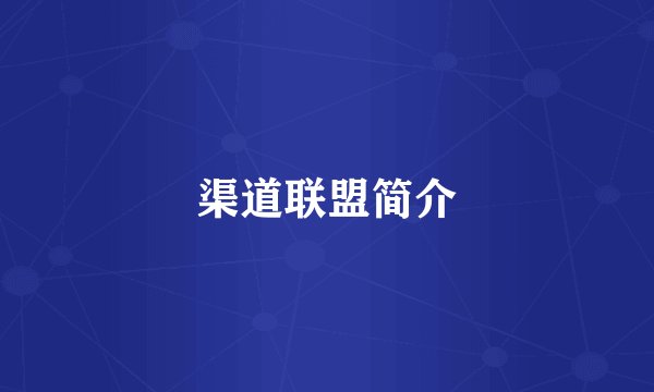 渠道联盟简介