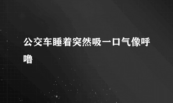 公交车睡着突然吸一口气像呼噜