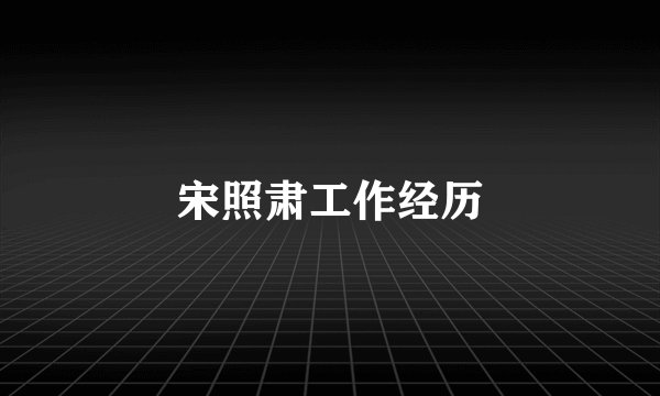 宋照肃工作经历