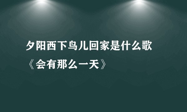 夕阳西下鸟儿回家是什么歌 《会有那么一天》