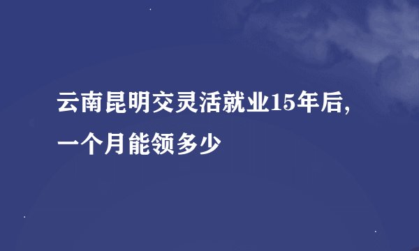 云南昆明交灵活就业15年后,一个月能领多少