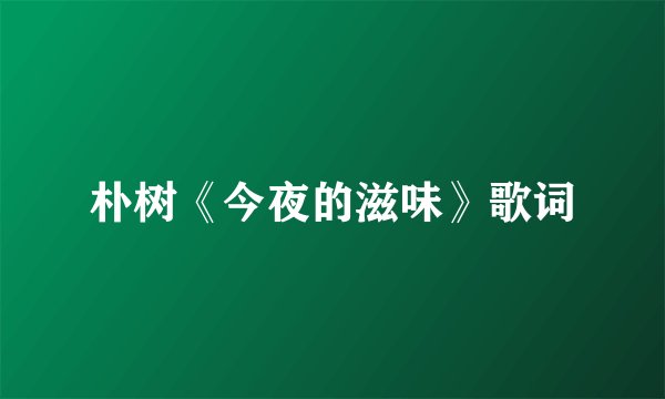 朴树《今夜的滋味》歌词