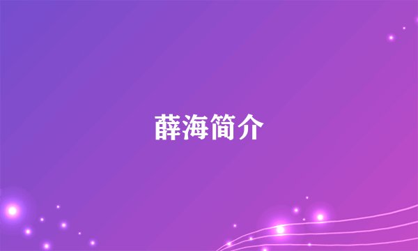 薛海简介
