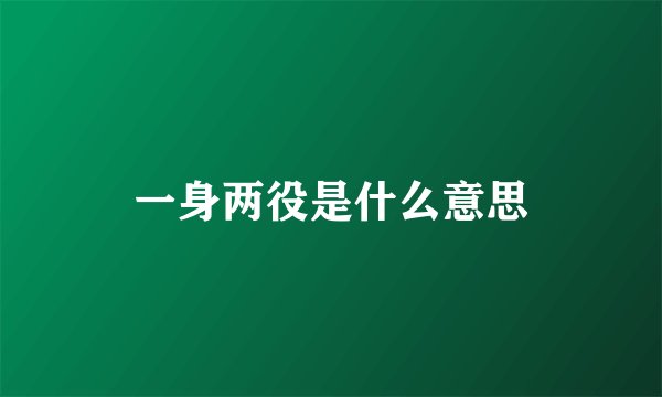 一身两役是什么意思