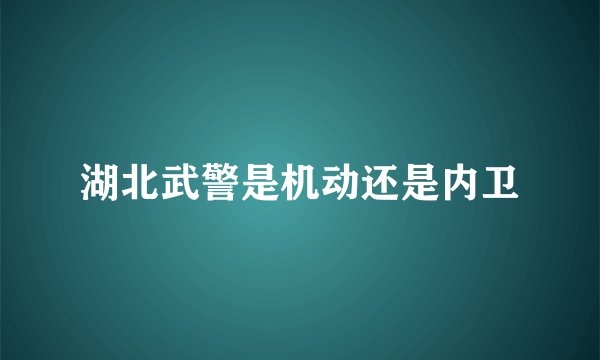 湖北武警是机动还是内卫