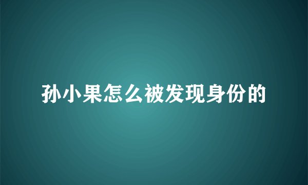 孙小果怎么被发现身份的