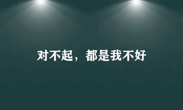 对不起，都是我不好