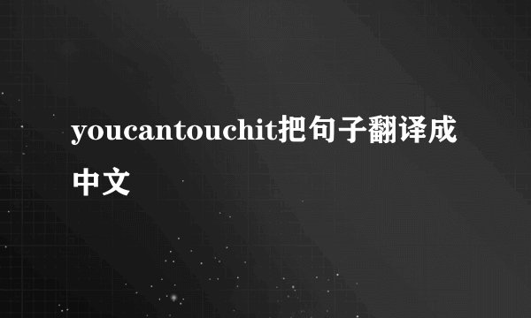 youcantouchit把句子翻译成中文