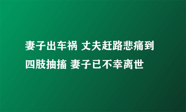 妻子出车祸 丈夫赶路悲痛到四肢抽搐 妻子已不幸离世