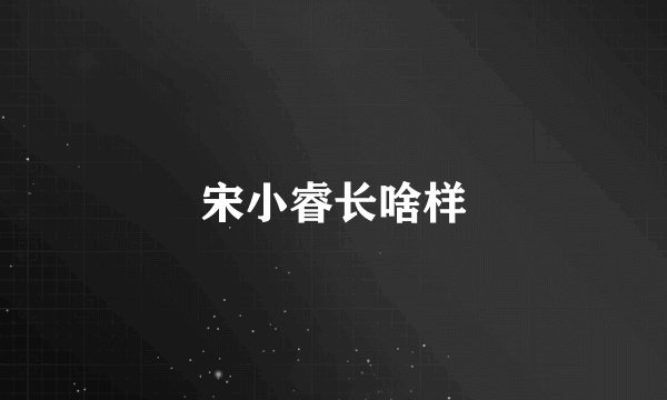 宋小睿长啥样