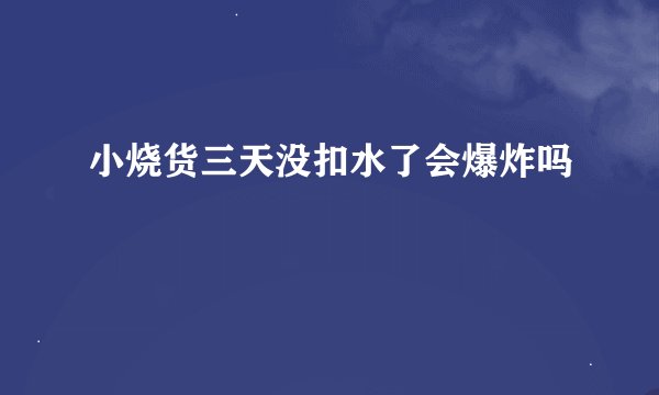小烧货三天没扣水了会爆炸吗