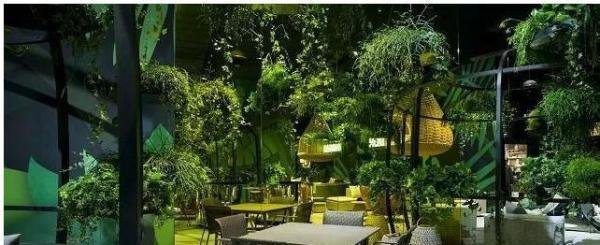 如何计算仿真植物墙的费用？