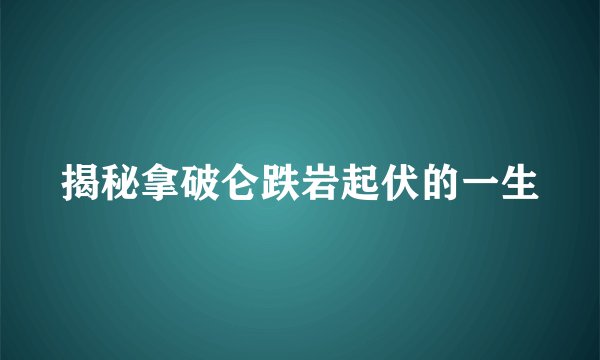 揭秘拿破仑跌岩起伏的一生