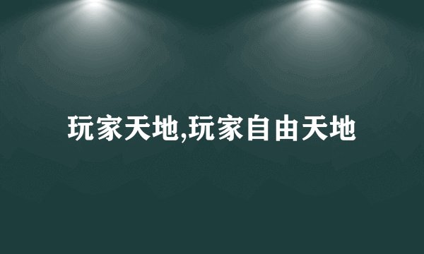 玩家天地,玩家自由天地