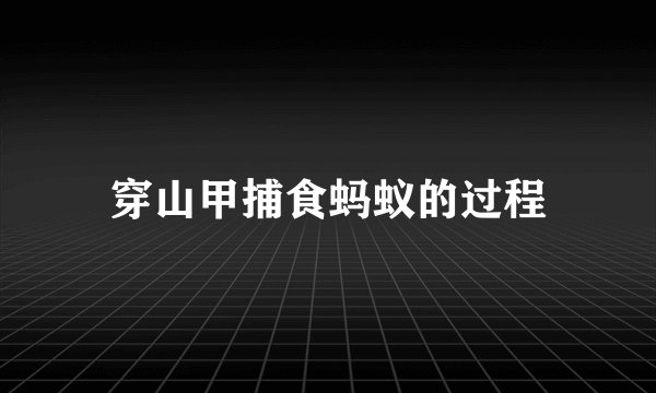 穿山甲捕食蚂蚁的过程