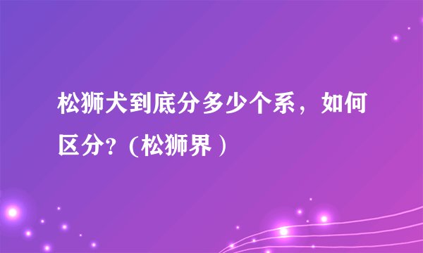 松狮犬到底分多少个系，如何区分？(松狮界）