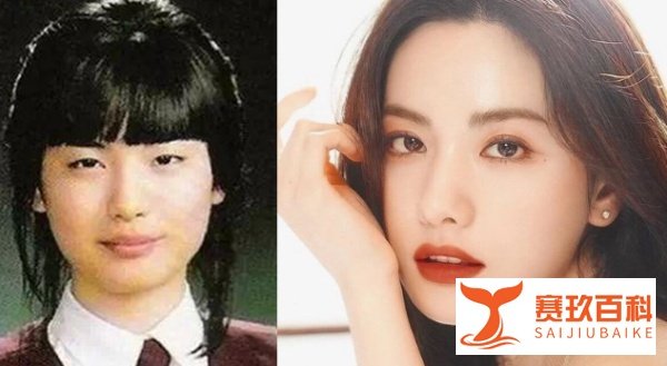 有一种变脸叫韩国整容：双门洞王子贤成王祖贤，她美成亚洲第一