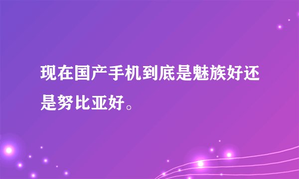 现在国产手机到底是魅族好还是努比亚好。