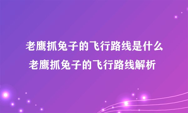 老鹰抓兔子的飞行路线是什么 老鹰抓兔子的飞行路线解析