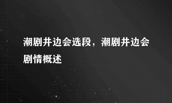 潮剧井边会选段，潮剧井边会剧情概述