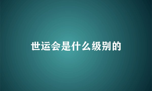世运会是什么级别的