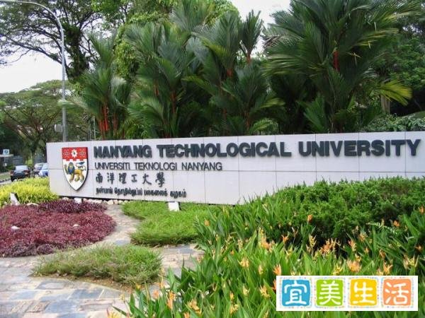 俞敏洪建议董宇辉去留学,有钱人为什么都喜欢出国?