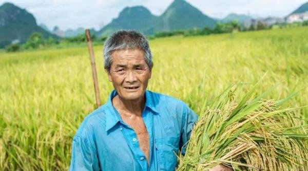 2023年新农合开始缴费,5类人可减免,2类人可全额退钱,有你吗?