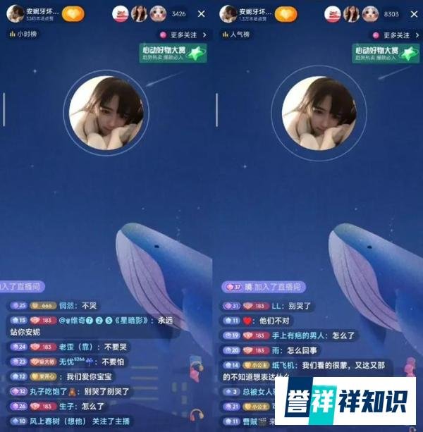 网红安妮账号被清空,妈妈发现手机里的“精彩”,并非因利益矛盾