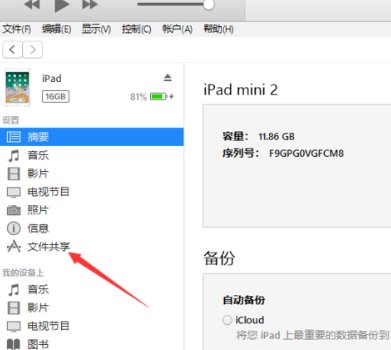怎么把电脑上的视频放到ipad里