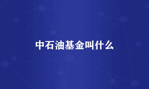中石油基金叫什么