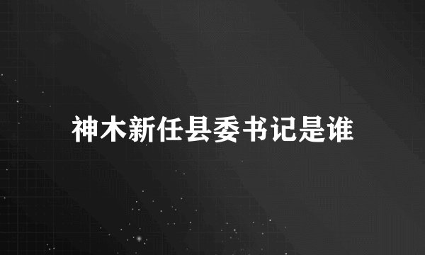 神木新任县委书记是谁