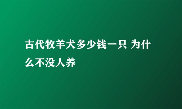 古代牧羊犬多少钱一只 为什么不没人养
