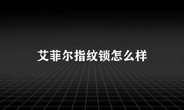 艾菲尔指纹锁怎么样