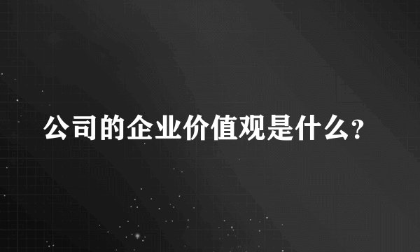 公司的企业价值观是什么？