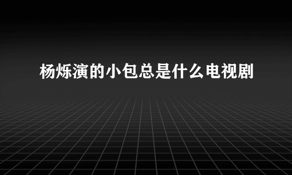 杨烁演的小包总是什么电视剧