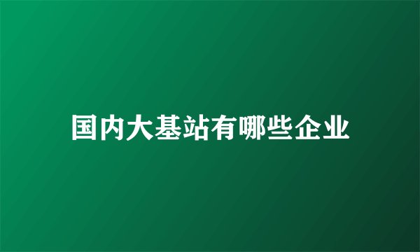 国内大基站有哪些企业