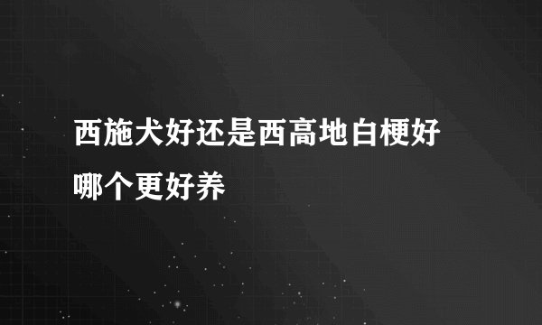 西施犬好还是西高地白梗好 哪个更好养