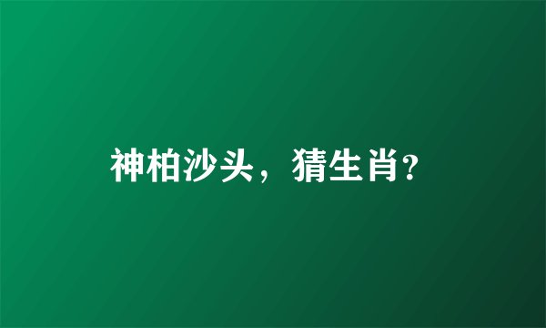 神柏沙头，猜生肖？
