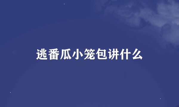 逃番瓜小笼包讲什么
