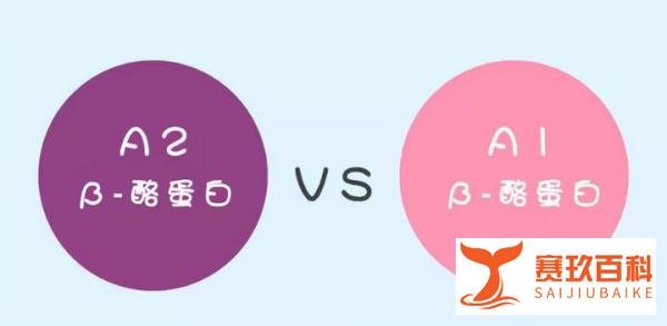 纽贝滋培臻A2蛋白奶粉怎么样？是物超所值还是营销噱头？
