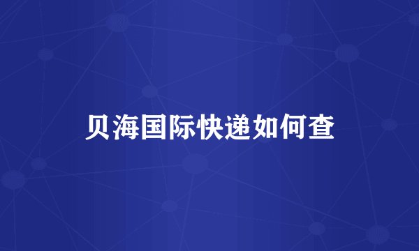 贝海国际快递如何查