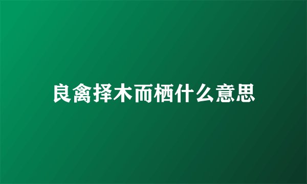 良禽择木而栖什么意思