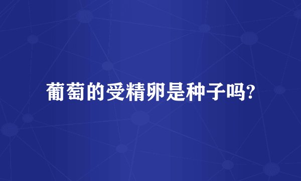 葡萄的受精卵是种子吗?