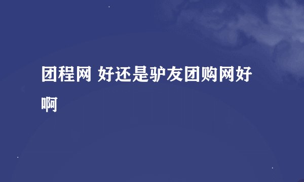 团程网 好还是驴友团购网好啊