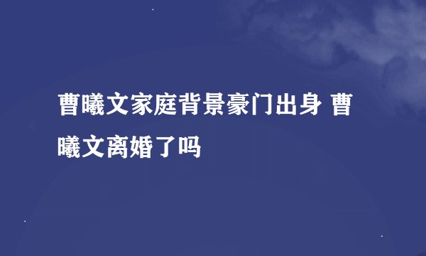 曹曦文家庭背景豪门出身 曹曦文离婚了吗