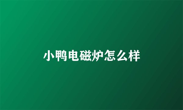 小鸭电磁炉怎么样